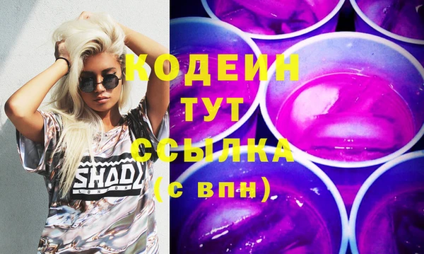 дурь Бородино