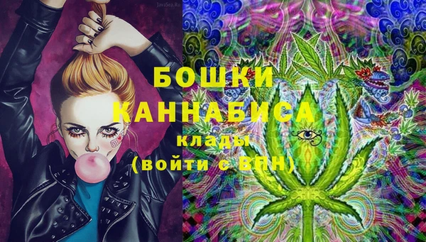 дурь Бородино