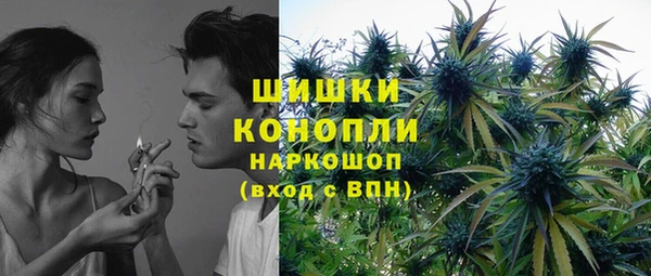 дурь Бородино