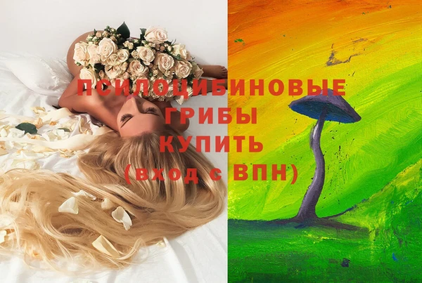 таблы Бронницы
