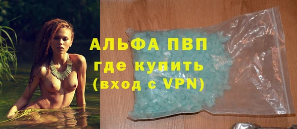 дурь Бородино